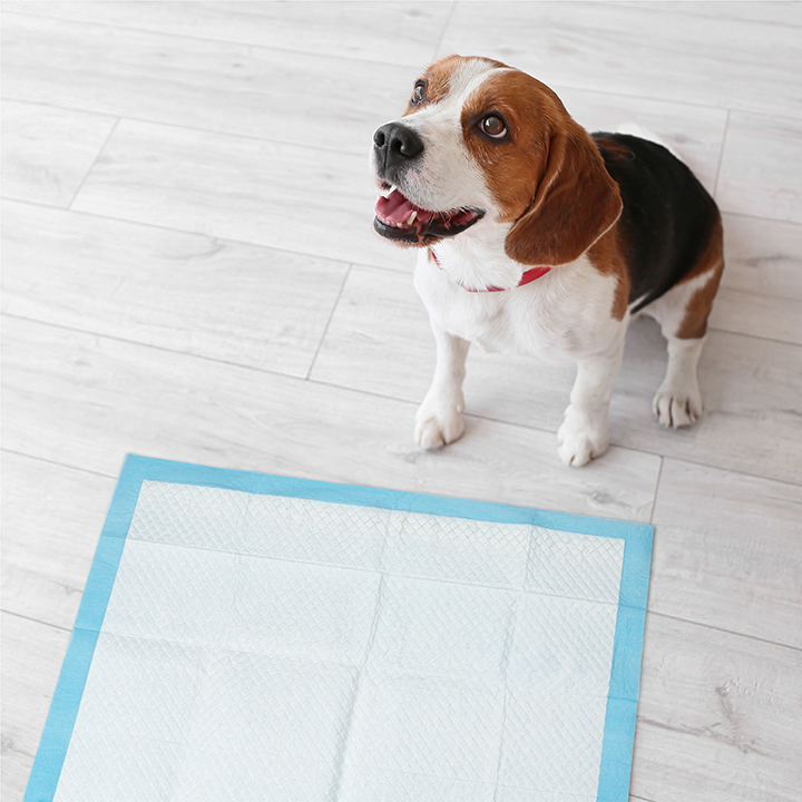 Nature's miracle deals training pads